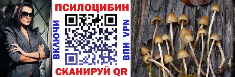 Галлюциногенные грибы Psilocybine cubensis  Купить где  Дубовка 
